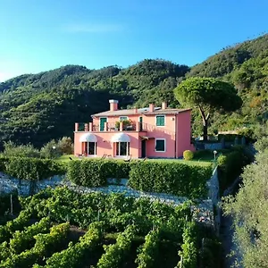 Affittacamere La Vignana - 5 Terre